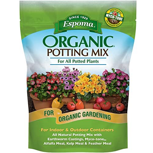 Best Dirt for Indoor Plants