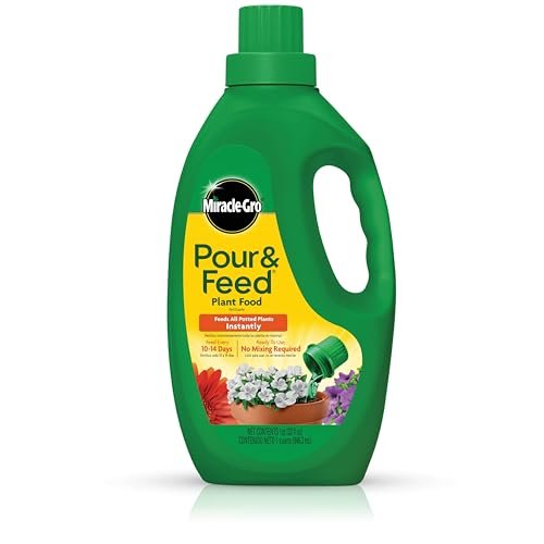 Best Fertilizer for Indoor Plants