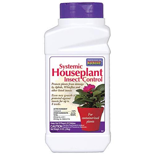 Best Gnat Killer for Indoor Plants