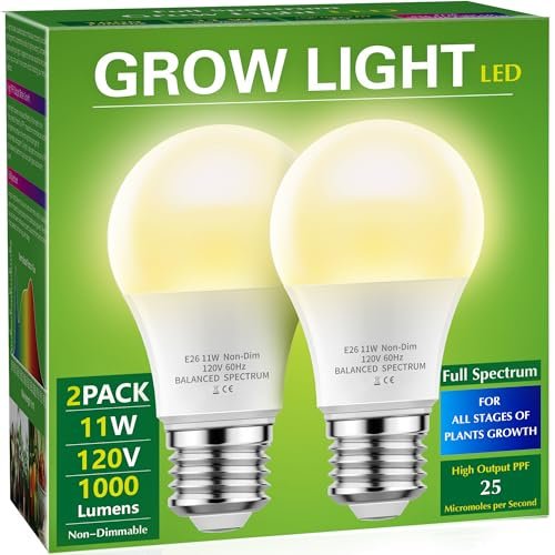 Best Grow Light Bulbs for Indoor Plants