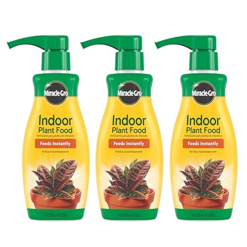 Best Plant Food for Indoor Plants