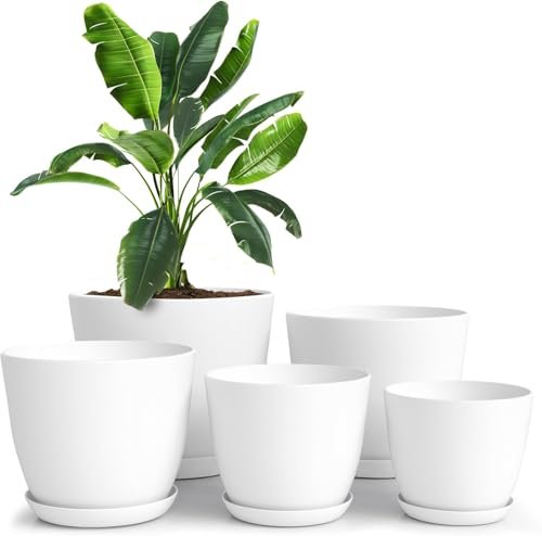 Best Planters for Indoor Plants