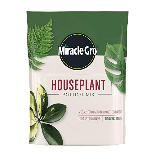 Best Potting Soil Mix for Indoor Plants