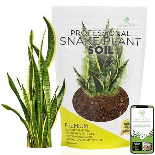 Best Soil for Snake Plant Indoor